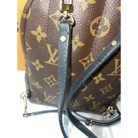 Louis Vuitton Palm Springs Mini Monogram Canvas Backpack - Picture 4 of 5